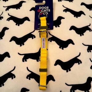 Dogs & Cats & Co: Collar in Yellow Size: S